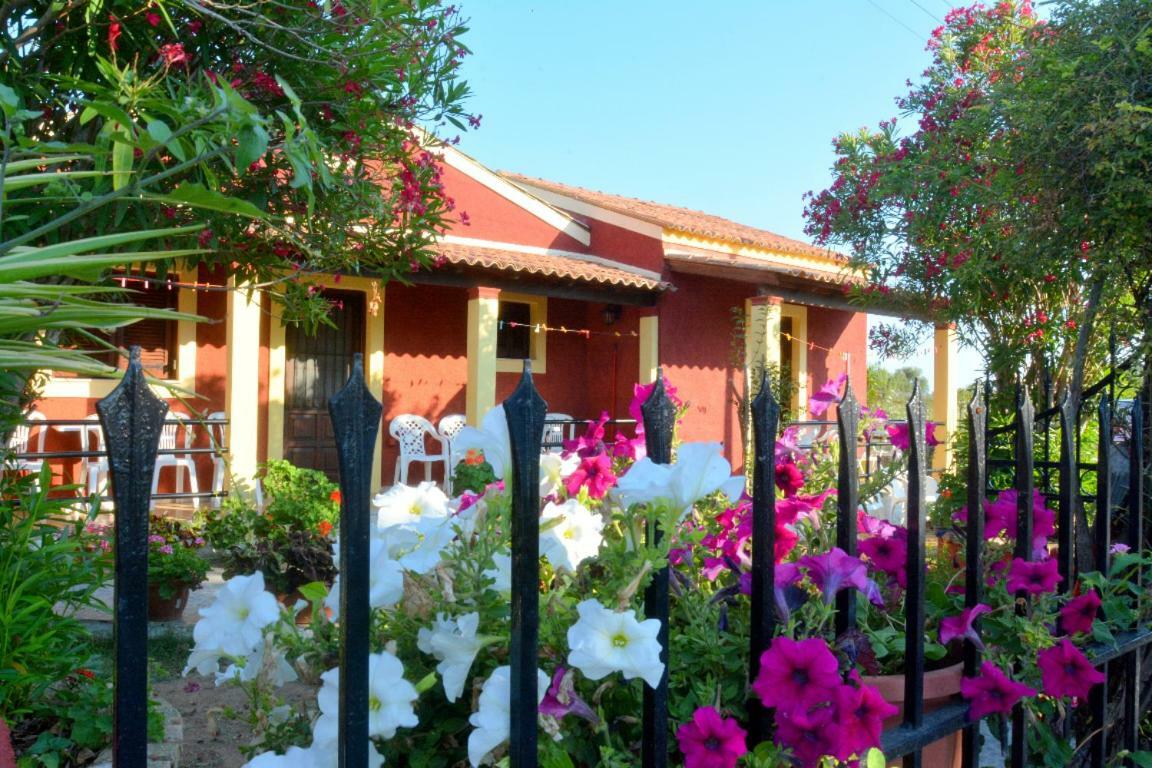 Issos Apartments Агиос Георгиос Екстериор снимка